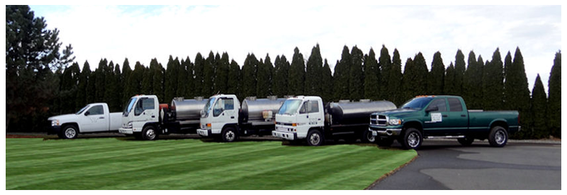 Evergreen Lawn And Tree Care Richland, Evergreen Lawn And Landscape